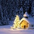 Arrangement Weihnachten im Hotel Maier zum Kirschner