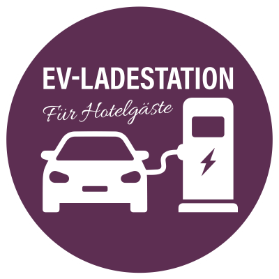 EV-Ladestation am Haus