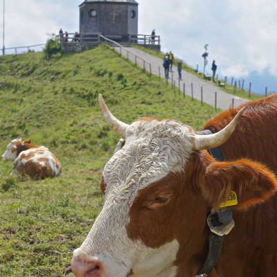 Tegernsee News März Frühling
