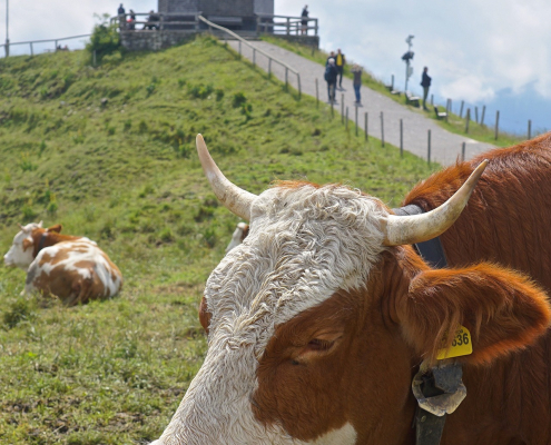 Tegernsee News März Frühling